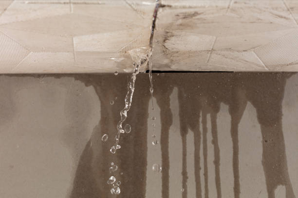 Professional Structural Drying technician working in Lowland, NC